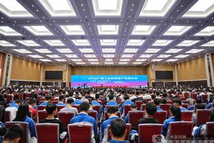 广西新闻最新爆料,揭秘神秘事件背后的真相  第1张